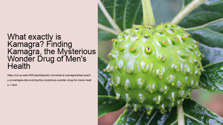 What exactly is Kamagra? Discovering the Mysterious Wonder Drug for Men's Health!