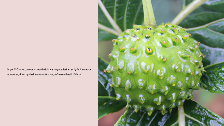 What exactly is Kamagra? Uncovering the Mysterious Wonder Drug of Men's Health