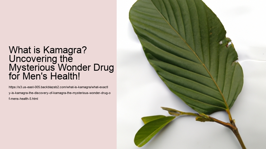 What exactly is Kamagra? The discovery of Kamagra, the Mysterious Wonder Drug of Men's Health