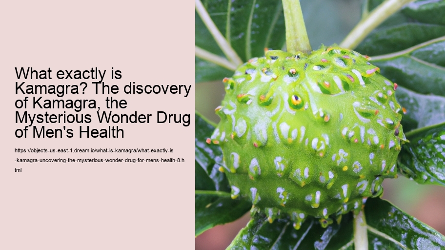 What exactly is Kamagra? Uncovering the Mysterious Wonder Drug for Men's Health!